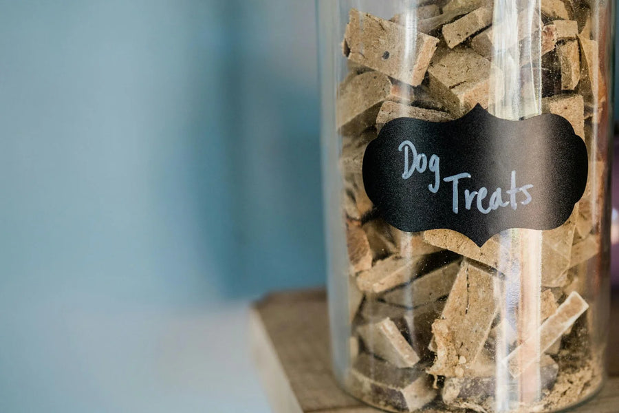 The Benefits of Zinc for Dogs: What Every Pet Owner Should Know